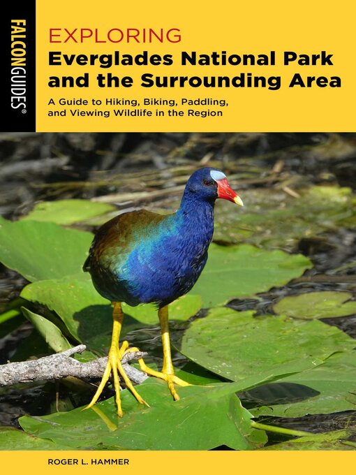 Title details for Exploring Everglades National Park and the Surrounding Area by Roger L. Hammer - Available